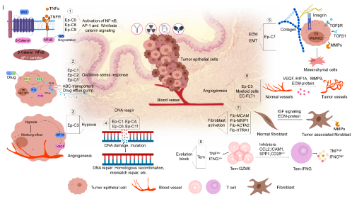 1693039018944505.png 1.png